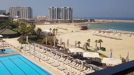 דן אכדיה - מבט לחוף